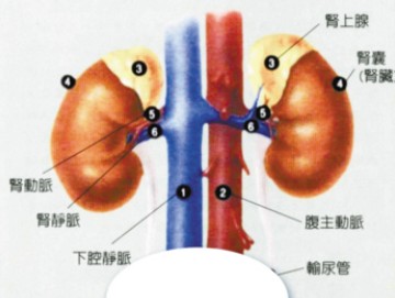 20130828045840_16047.jpg