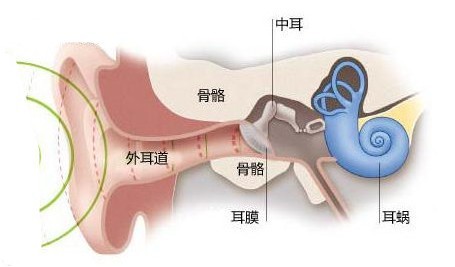 搭飞机耳朵痛怎么调节_耳朵里面痛怎么回事儿(3)